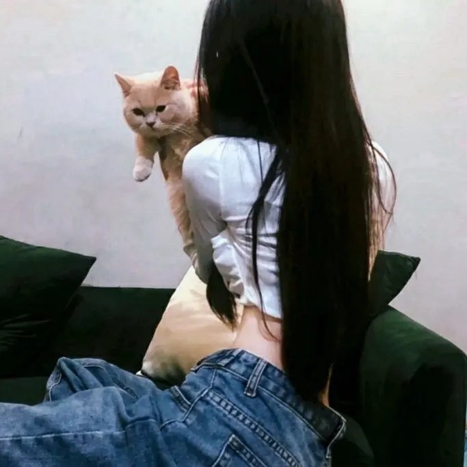 杀手悲歌